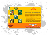 Advt Designs